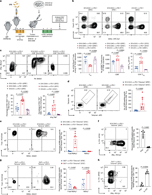 391-392期(完成)-69-.jpg 391-392期(完成)-69-.jpg