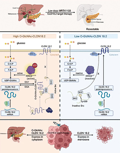 393-394期(完成)(2)-50-.jpg 393-394期(完成)(2)-50-.jpg