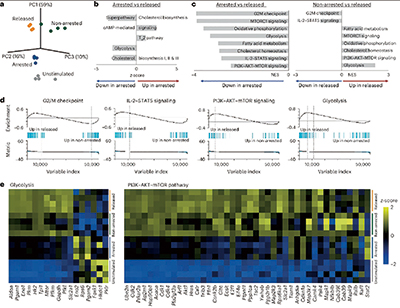 393-394期(完成)(2)-99-.jpg 393-394期(完成)(2)-99-.jpg