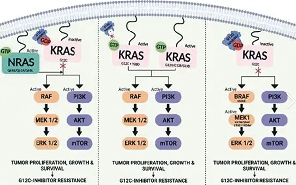 393-394期(完成)(2)-16.jpg 393-394期(完成)(2)-16.jpg