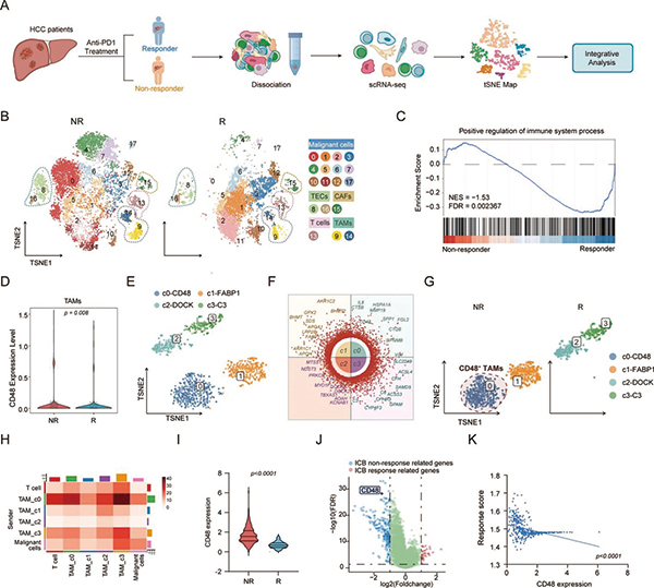 393-394期(完成)(2)-85.jpg 393-394期(完成)(2)-85.jpg