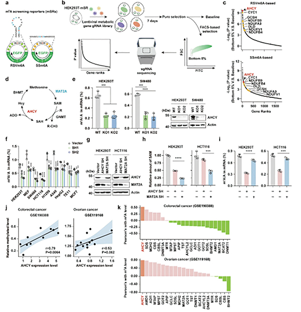 393-394期(完成)(2)-86.jpg 393-394期(完成)(2)-86.jpg