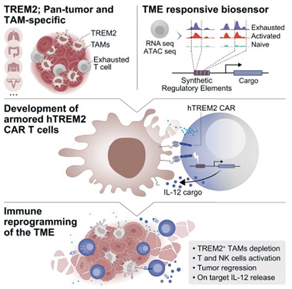393-394期(完成)(2)-91.jpg 393-394期(完成)(2)-91.jpg