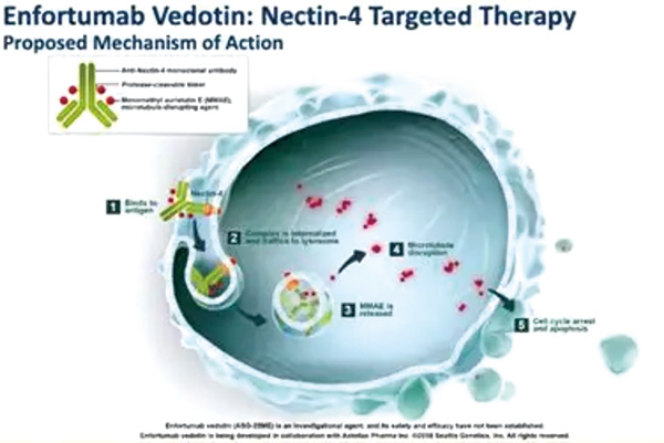 395-396期(完成)-61.jpg 395-396期(完成)-61.jpg
