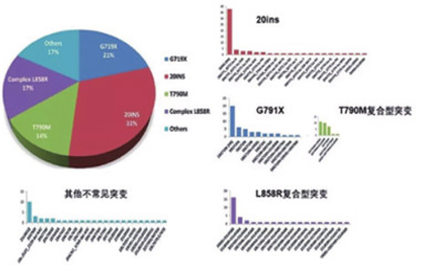 中国最大样本肺癌EGFR非常见突变的预后和治疗 
