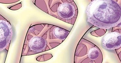 遗传性骨髓衰竭患者的胚系突变