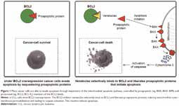 复发或难治性CLL Venetoclax-利妥昔单抗或优于苯达莫司汀-利妥昔单抗