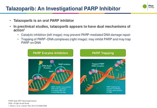 FDA批准第四款PARP抑制剂