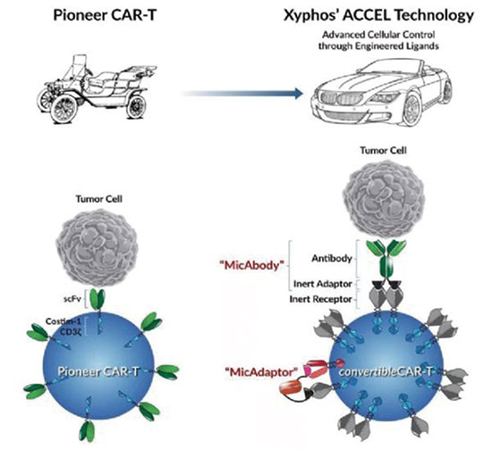 研究开发可编程CAR-T疗法
