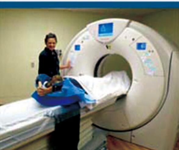 NELSON研究CT筛查降低肺癌死亡率