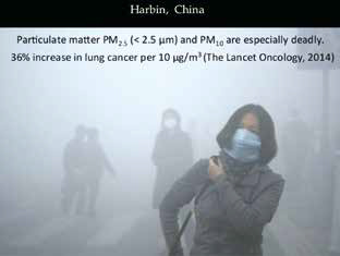 PM2.5影响肺腺癌发病率和死亡率