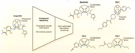 研究发现淋巴转移关键分子及相应药物分子 