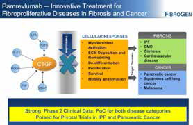 胰腺癌新药：结缔组织生长因子单抗Pamrevlumab