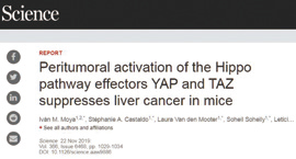 研究发现对抗肝癌的全新机制