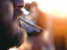大麻使用与罹患肿瘤风险研究荟萃分析