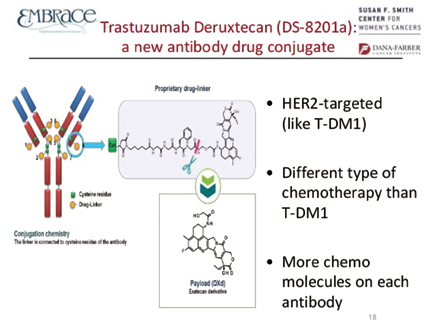 DESTINY-Breast01研究 经治HER2阳性晚期乳腺癌 Trastuzumab deruxtecan单药ORR达60.9%