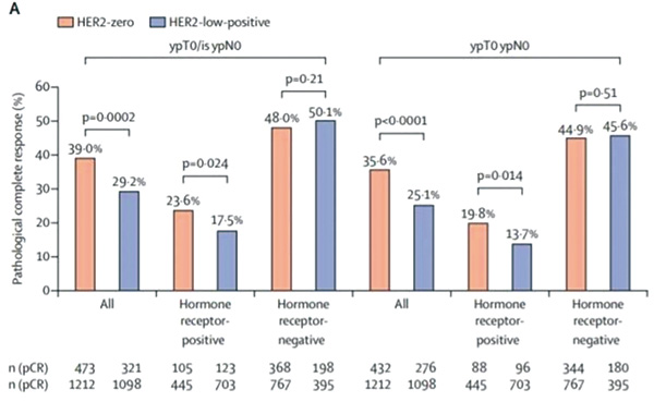HER2低表达乳腺癌的临床和分子特征研究