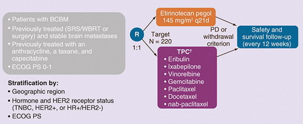 伴脑转移的乳腺癌 Etirinotecan pegol治疗与化疗无显著差异