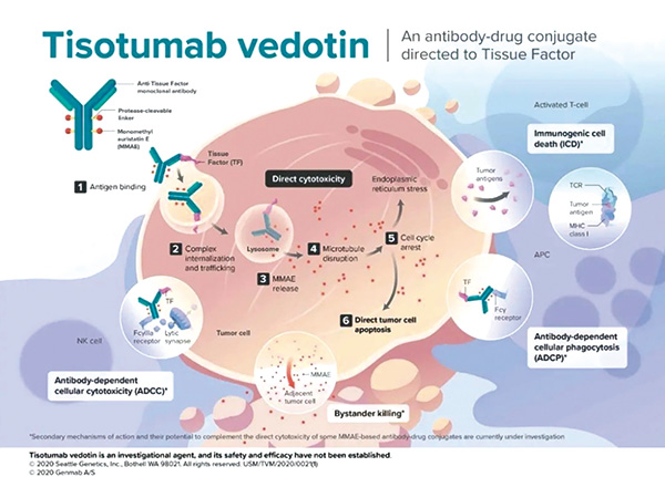 EGFR TKI失败的NSCLC 联用Teliso-V或对c-Met阳性患者有效