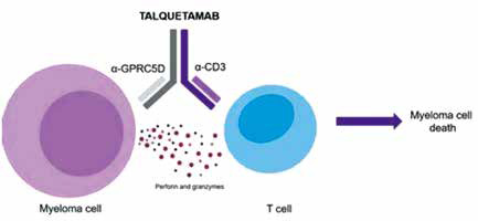 难治性多发性骨髓瘤 Talquetamab或带来新希望