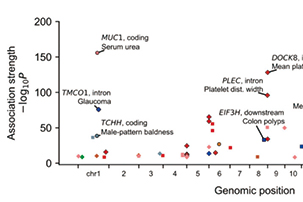 研究发现新的与肠癌风险增加相关的基因变异