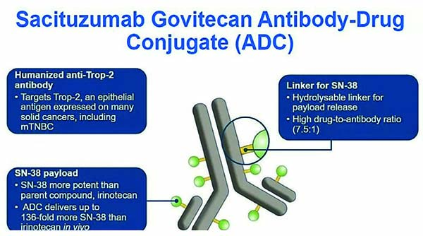 内分泌抵抗性HR+和HER2-转移性乳腺癌 Sacituzumab govitecan或为新的治疗选择