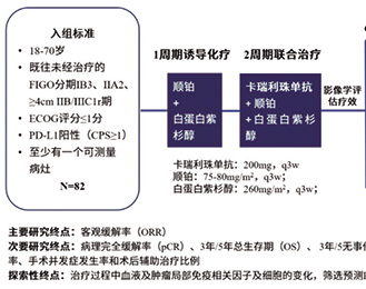 局部晚期宫颈癌 国人新辅助化学免疫治疗研究正式发表