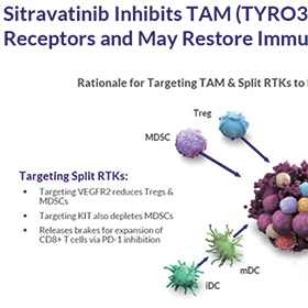 后线治疗晚期/转移性NSCLC 替雷利珠单抗联合sitravatinib疗效与多西他赛单药相近