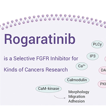 FGFR mRNA过表达局部晚期/转移性UC rogaratinib联合阿替利珠单抗安全有效