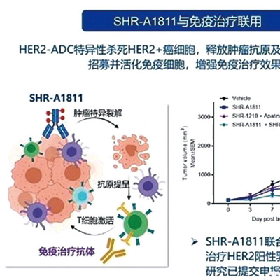 经治的HER2突变肺癌 trastuzumab rezetecan获得73%的缓解率