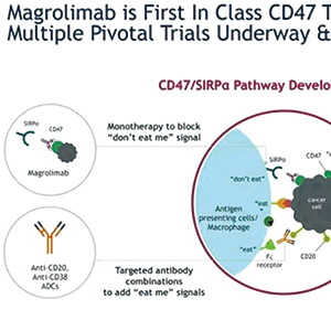 TP53突变的AML 一线应用magrolimab联合阿扎胞苷不改善OS