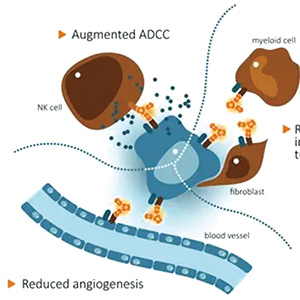 晚期NSCLC nadunolimab联合含铂双药疗效可期