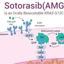 KRAS G12C突变晚期或转移性NSCLC 后线sotorasib对比多西他赛颅内活性也更好