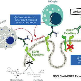 EGFR突变的局部晚期或转移性NSCLC 埃万妥单抗联合兰泽替尼对比一线奥希替尼可延长OS