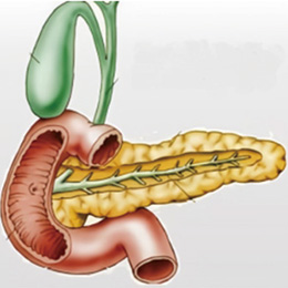习惯性酒精摄入或与胰腺癌风险正相关