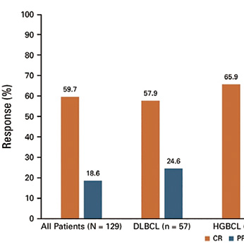 多线失败的复发/难治性LBCL 格菲妥单抗联合维泊妥珠单抗安全有效