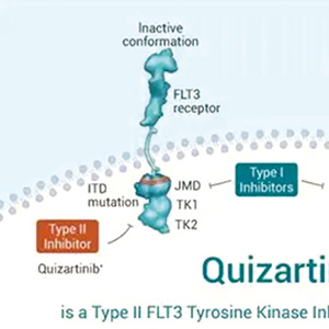 新发FLT3-ITD阴性AML quizartinib联合标准化疗显著延长生存期