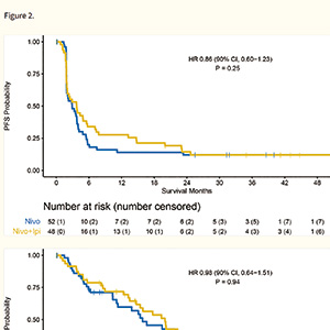 难治性转移性肛门鳞状细胞癌 纳武利尤单抗联合伊匹木单抗无显著获益