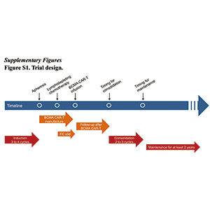 不宜或未移植的新发MM 一线应用BCMA CAR T疗效可期，安全性可控