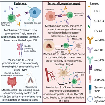 头颈癌患者免疫治疗 药物处方率及免疫相关不良事件研究