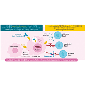 晚期或转移性NSCLC Dato-DXd联合帕博利珠单抗初显安全性和抗瘤活性