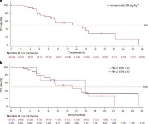国人PD-1/VEGF双抗晚期三阴性乳腺癌研究
