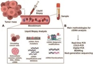 ctDNA可供肿瘤监测和指导临床决策